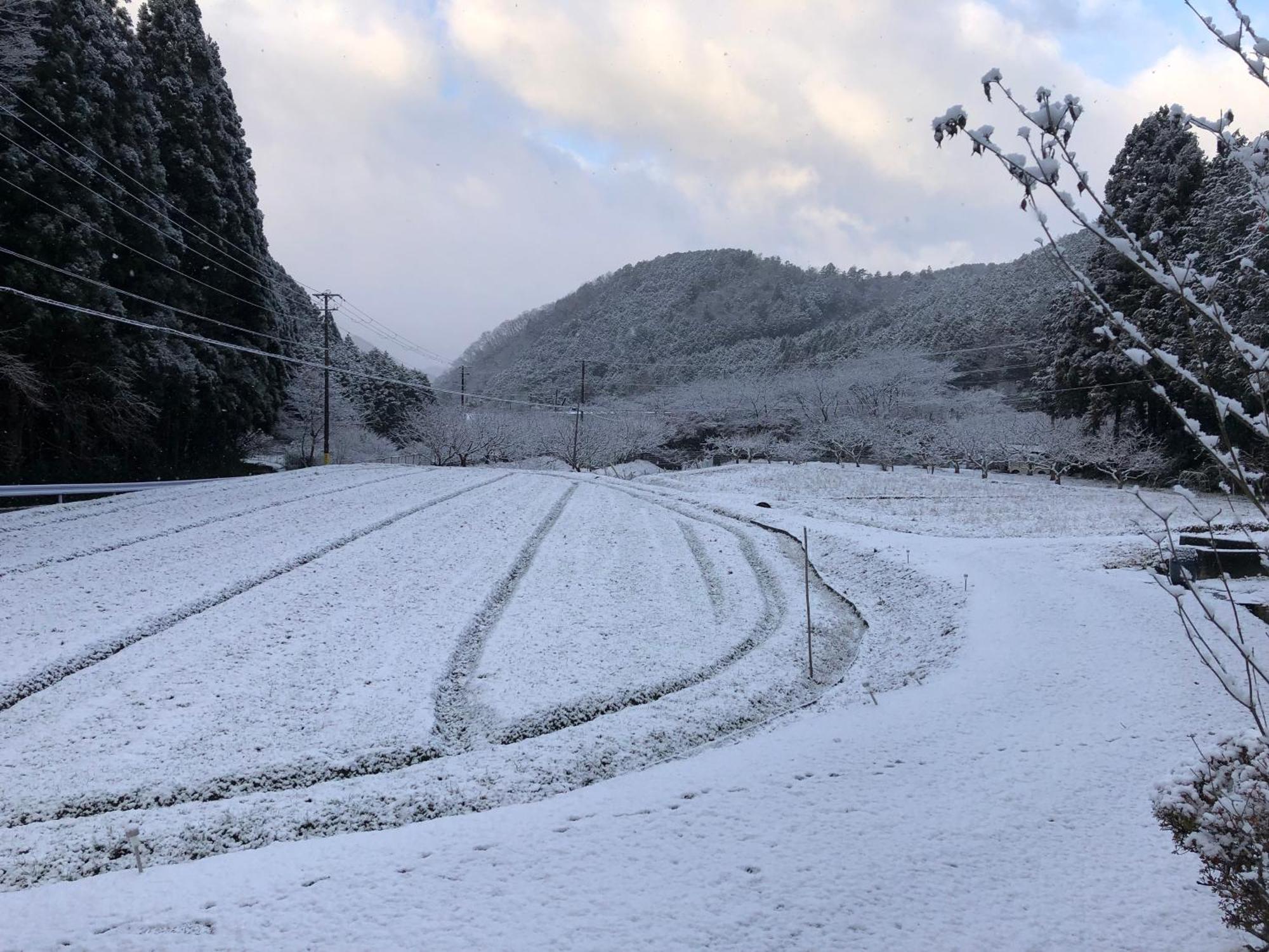 Satoyama Hotel Kanenone Tamba Maibara Exteriör bild