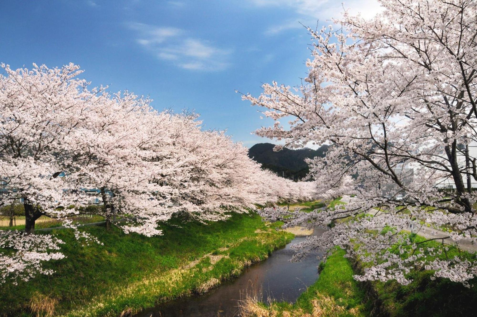 Satoyama Hotel Kanenone Tamba Maibara Exteriör bild