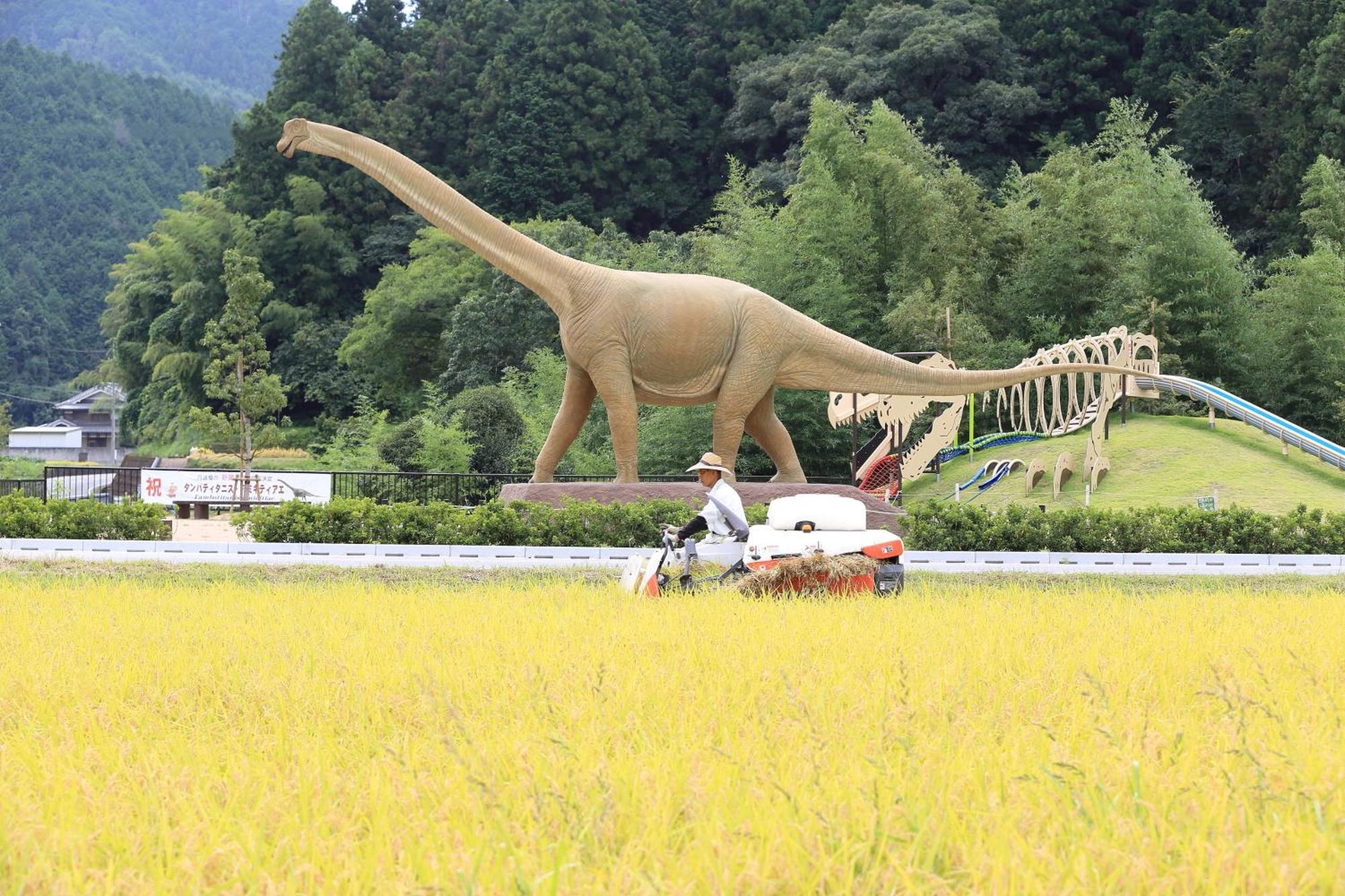 Satoyama Hotel Kanenone Tamba Maibara Exteriör bild