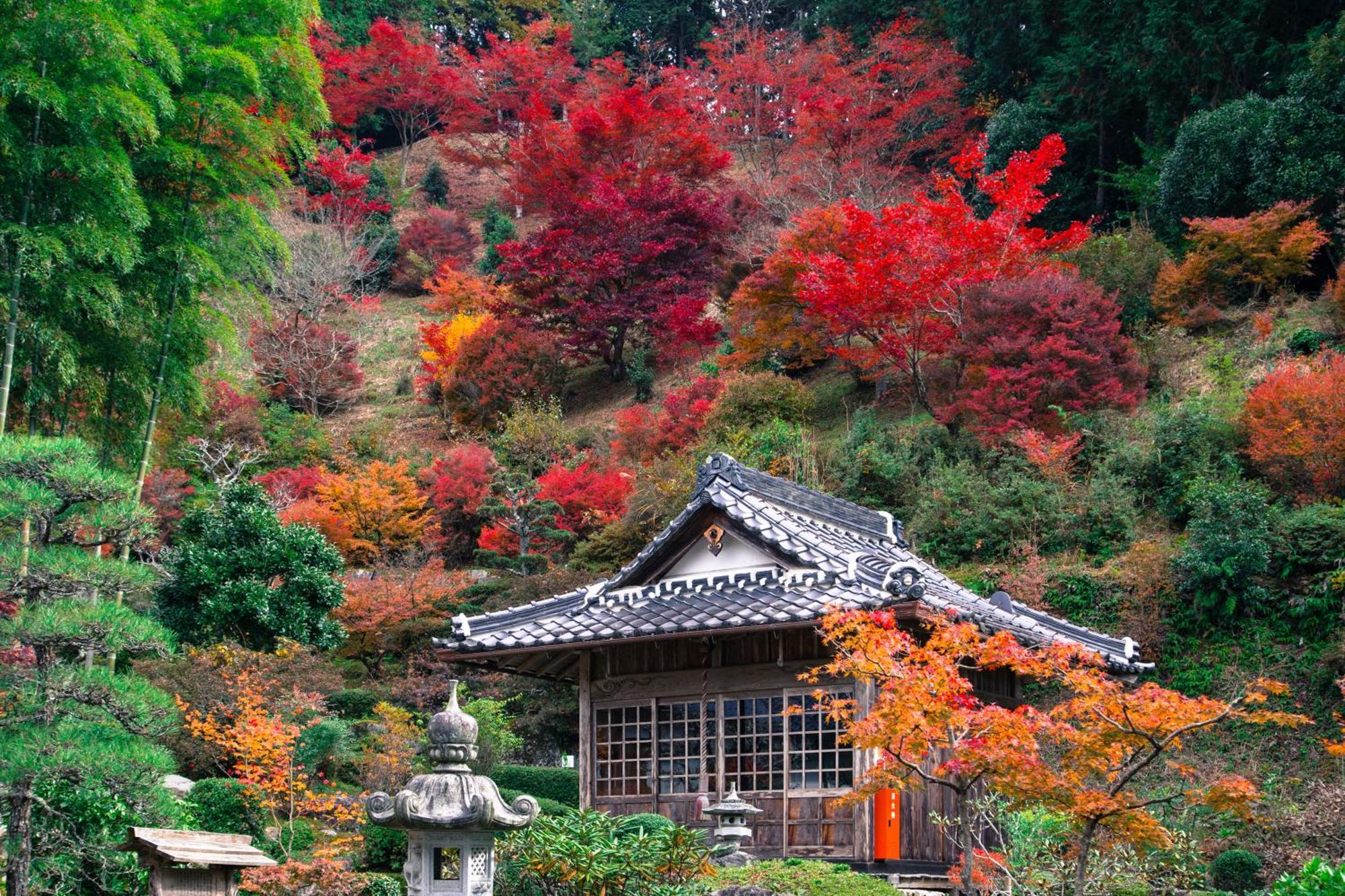 Satoyama Hotel Kanenone Tamba Maibara Exteriör bild