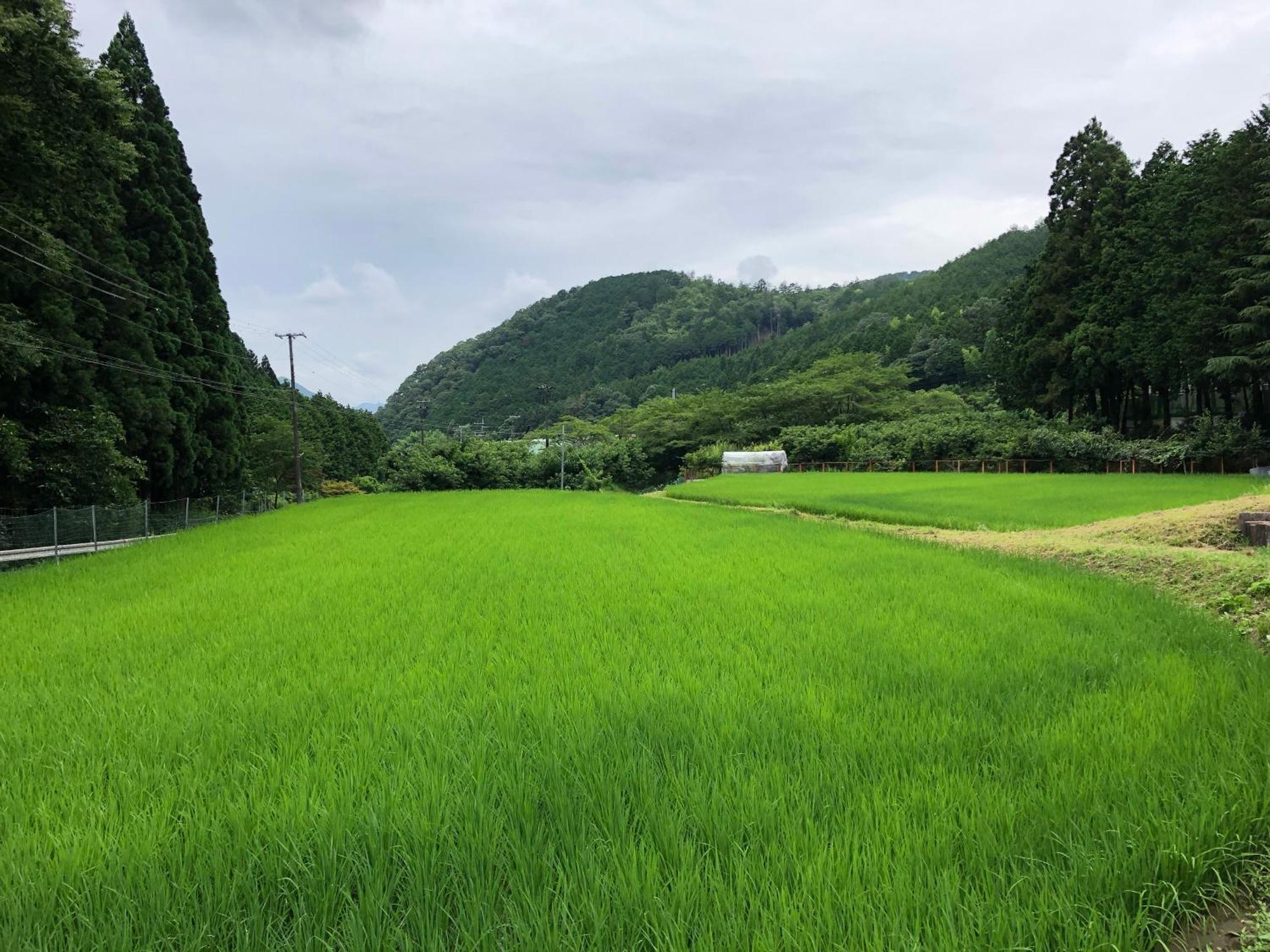 Satoyama Hotel Kanenone Tamba Maibara Exteriör bild