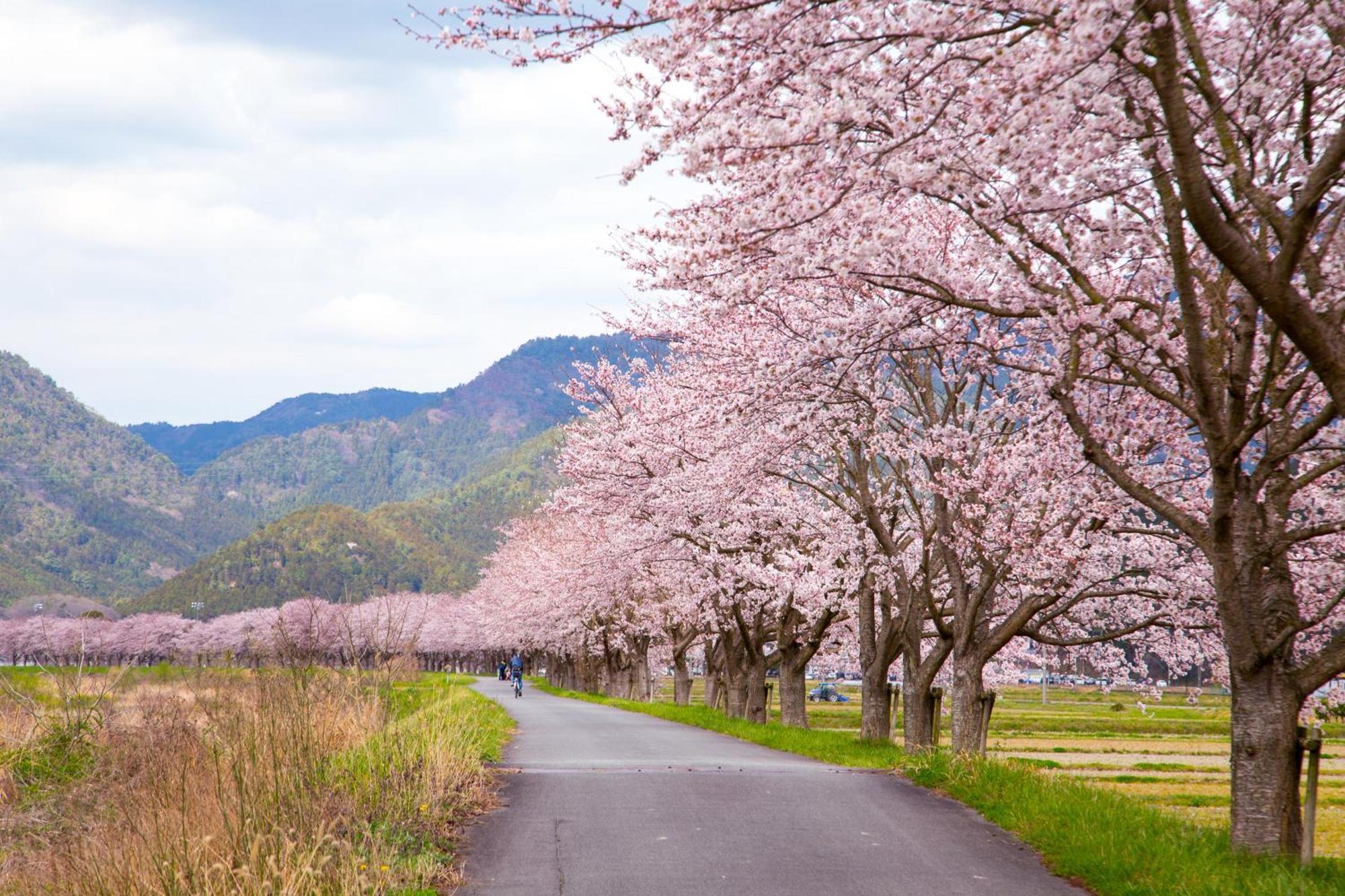 Satoyama Hotel Kanenone Tamba Maibara Exteriör bild