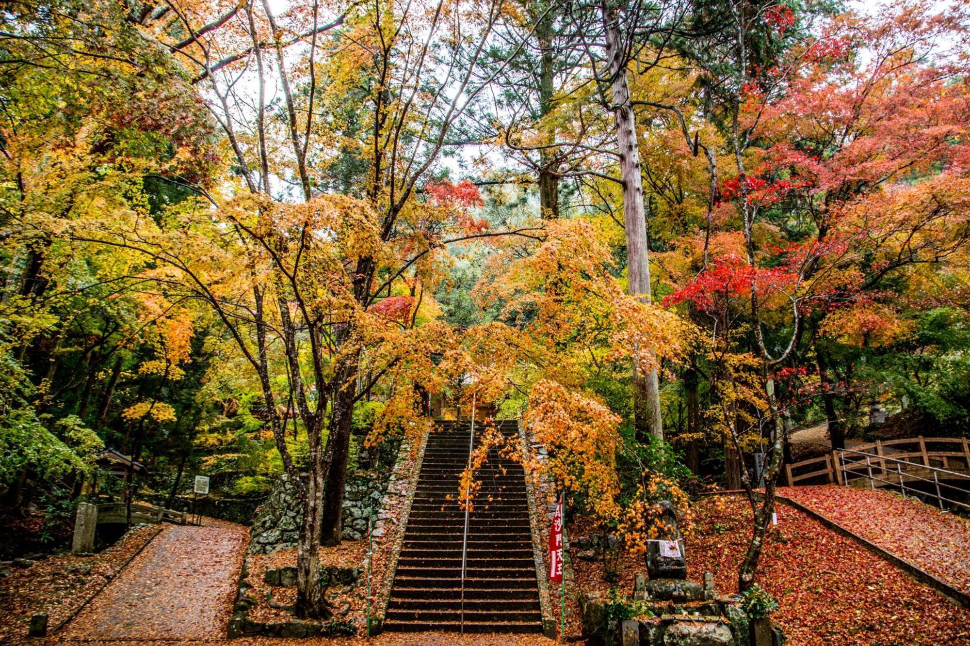 Satoyama Hotel Kanenone Tamba Maibara Exteriör bild