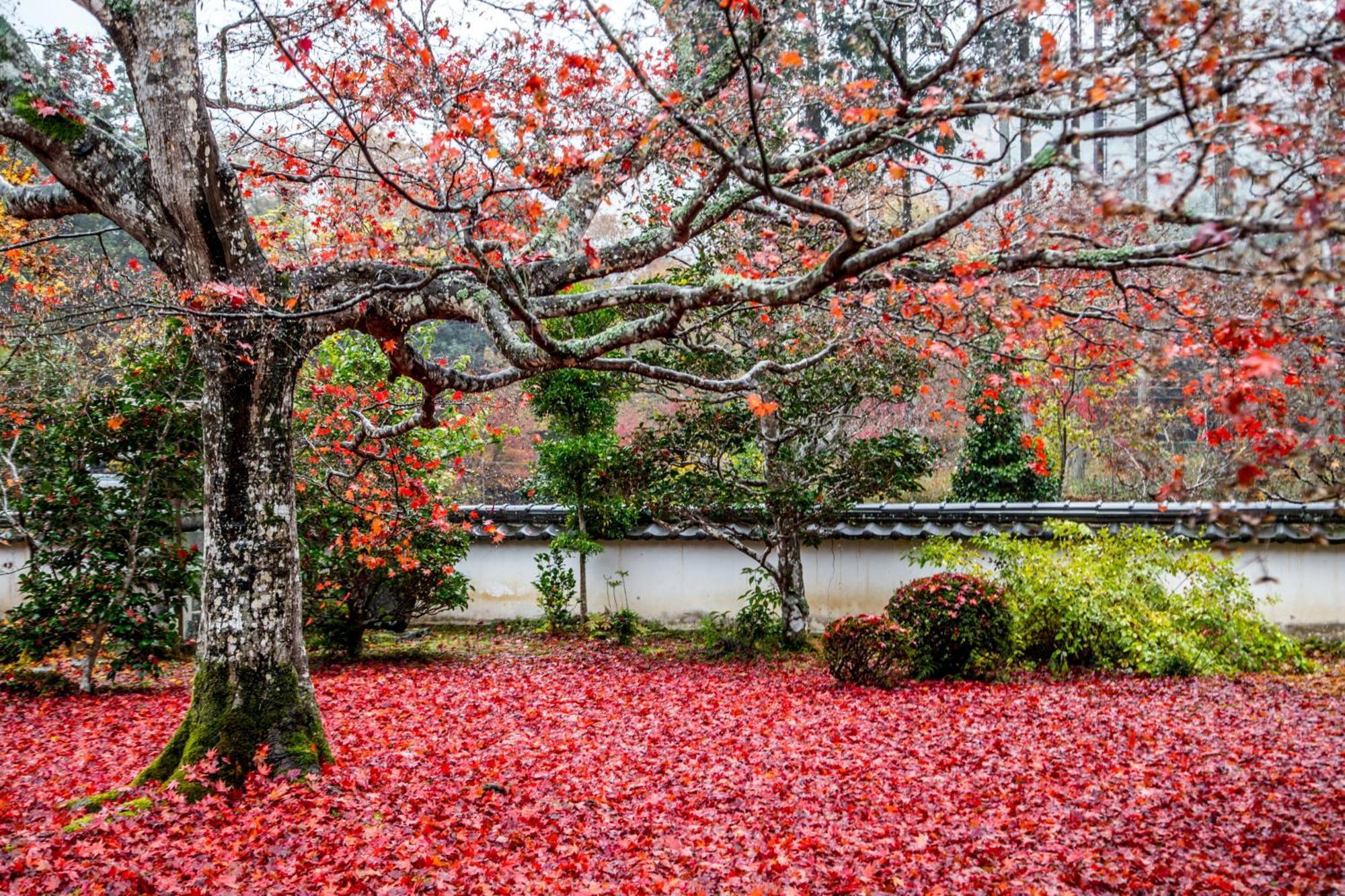 Satoyama Hotel Kanenone Tamba Maibara Exteriör bild